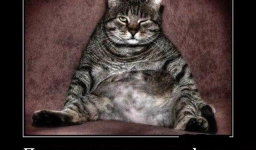 Самые смешные картинки и лучшие мемы про пятницу, 13-е 13